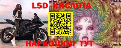 гашик Нальчик