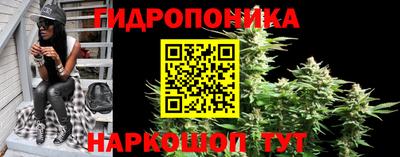 гашик Нальчик