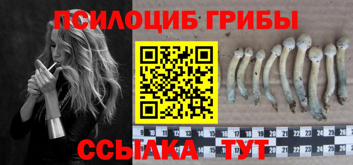 Галлюциногенные грибы ЛСД Унеча