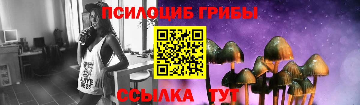 Унеча  Псилоцибиновые грибы GOLDEN TEACHER  Галлюциногенные грибы мухоморы  Вход с VPN 